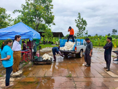 ติดตามการดำเนินธุรกิจรวบรวมผลผลิต (ยางพาราก้อนถ้วย) ... พารามิเตอร์รูปภาพ 1